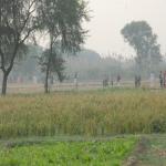 Vraj-Yatra-2014- (322)